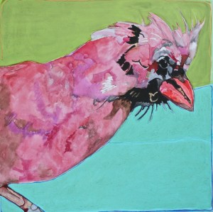 cardinal close ptgsm