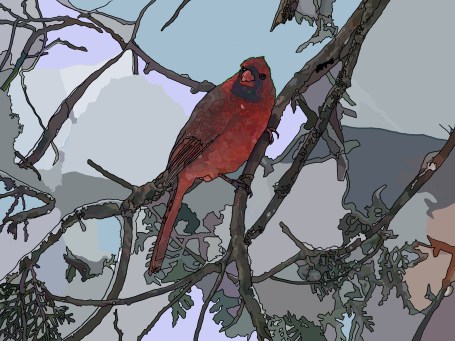 cardinal-in-snowy-shadows
