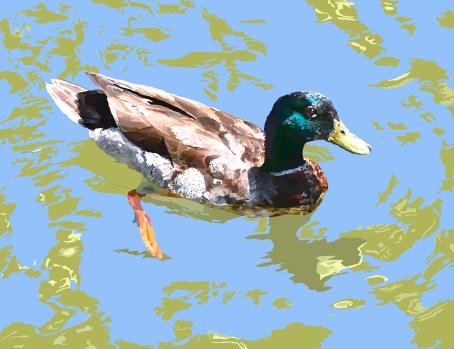 drake-in-water-2-no-lines